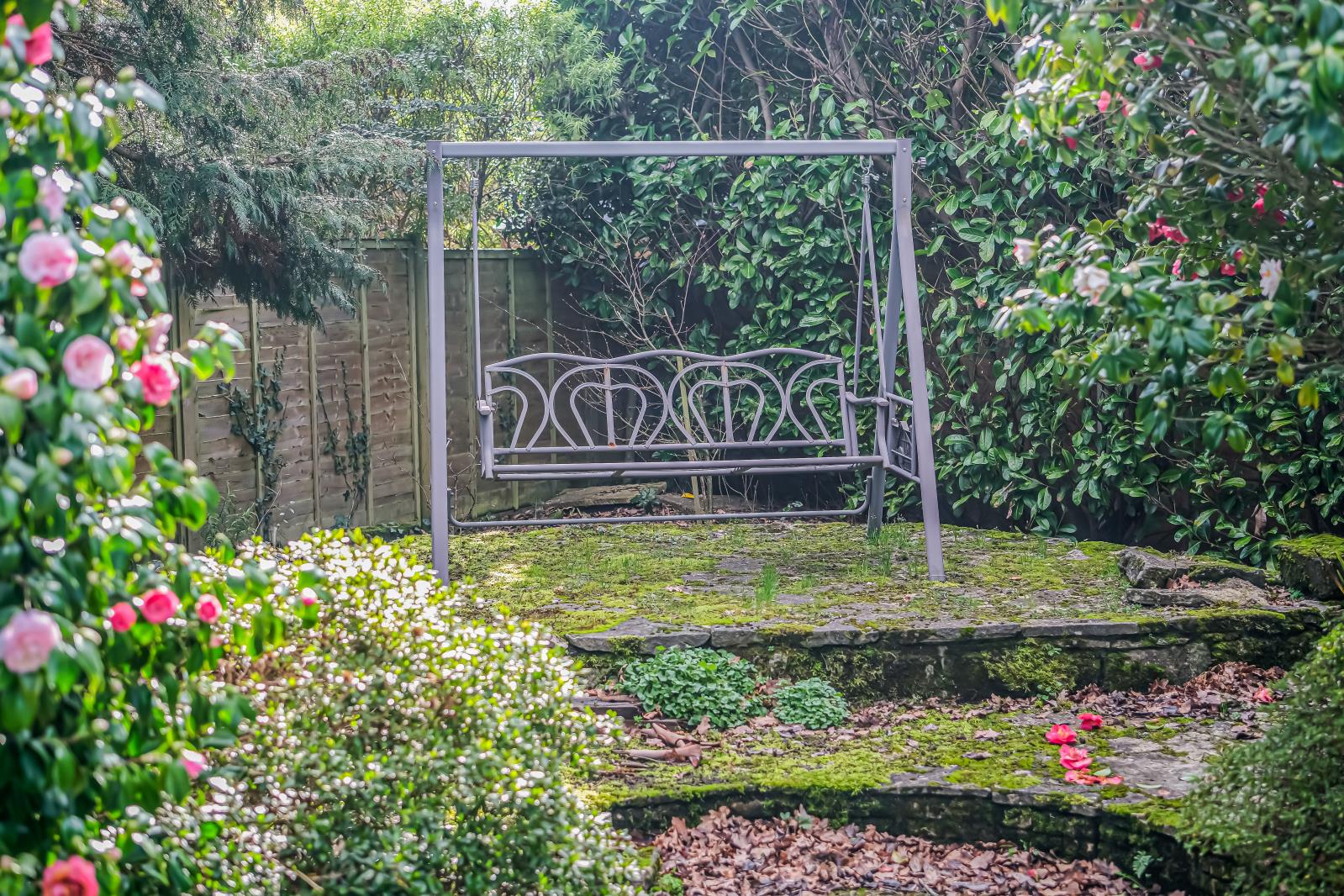 Property Image 44f136aa-36f5-4371-afd2-590bc9cebd9d
