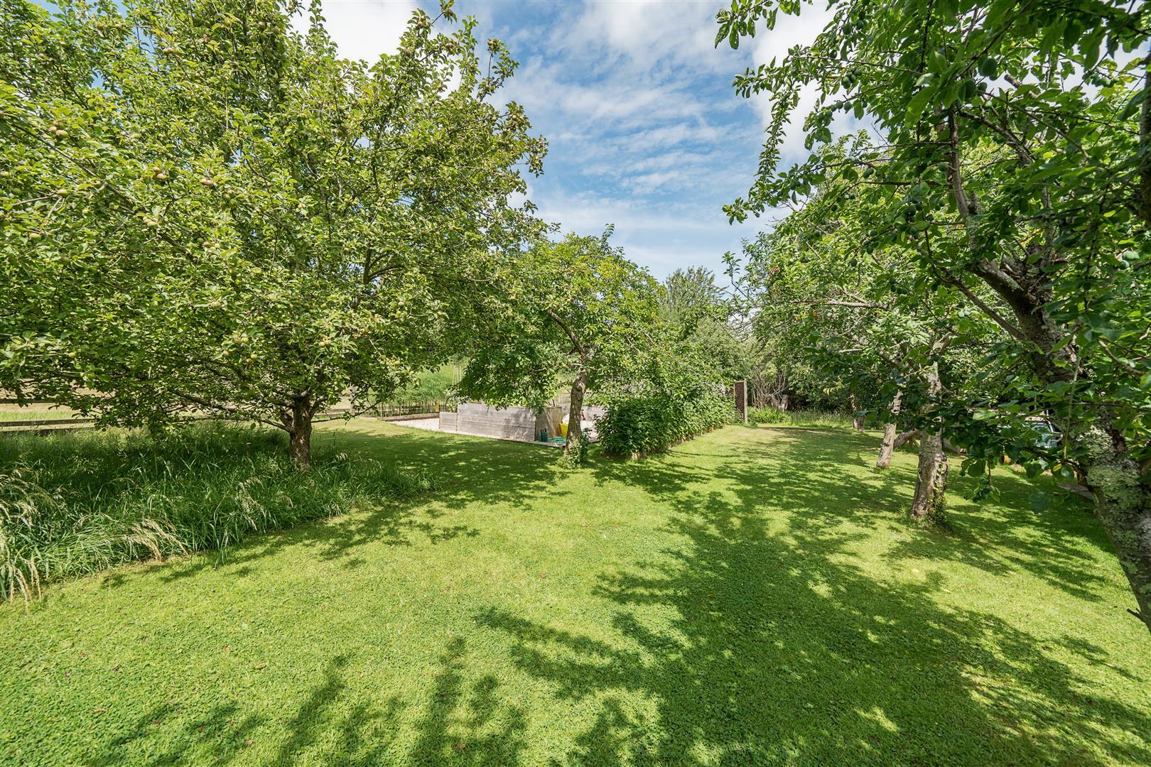 Property Image 4539d690-118b-4bc3-b76e-4dd585ada58f