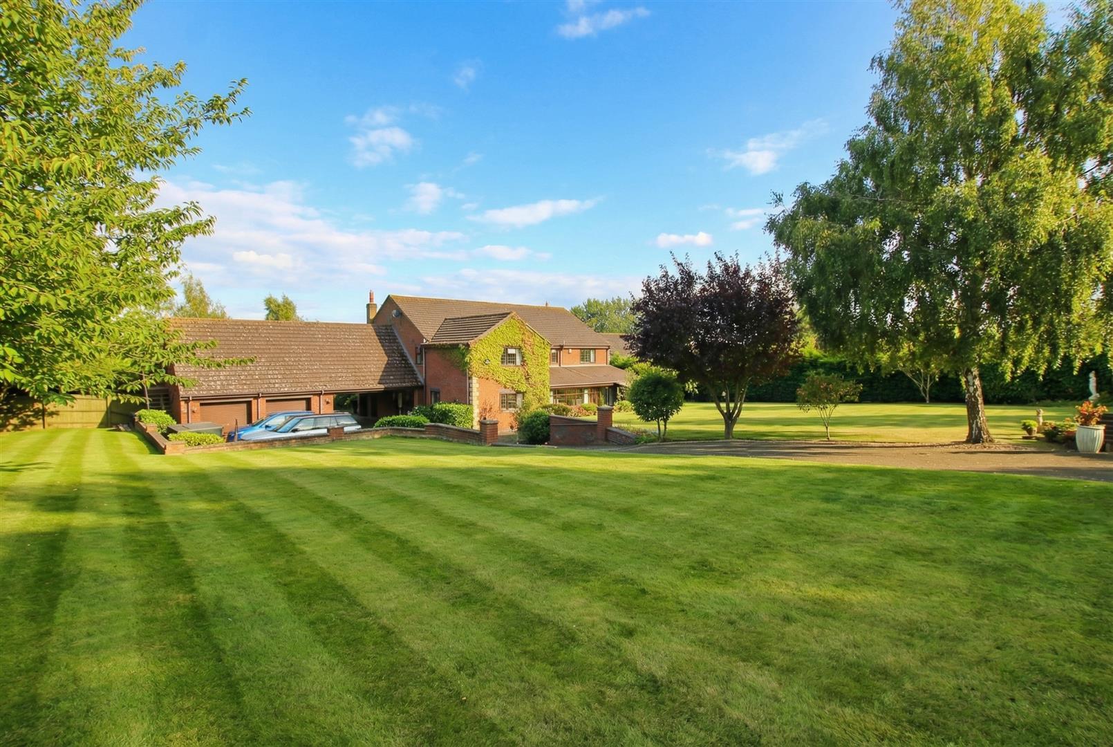 Property Image 4588ea6e-39b5-496c-8dea-6279744f109a