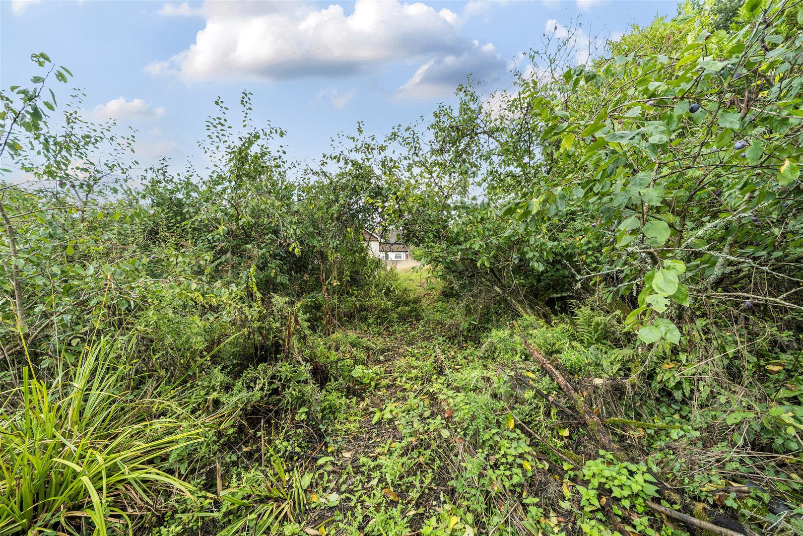 Property Image 45c73405-24a0-4b41-b056-4cf5a24042fe