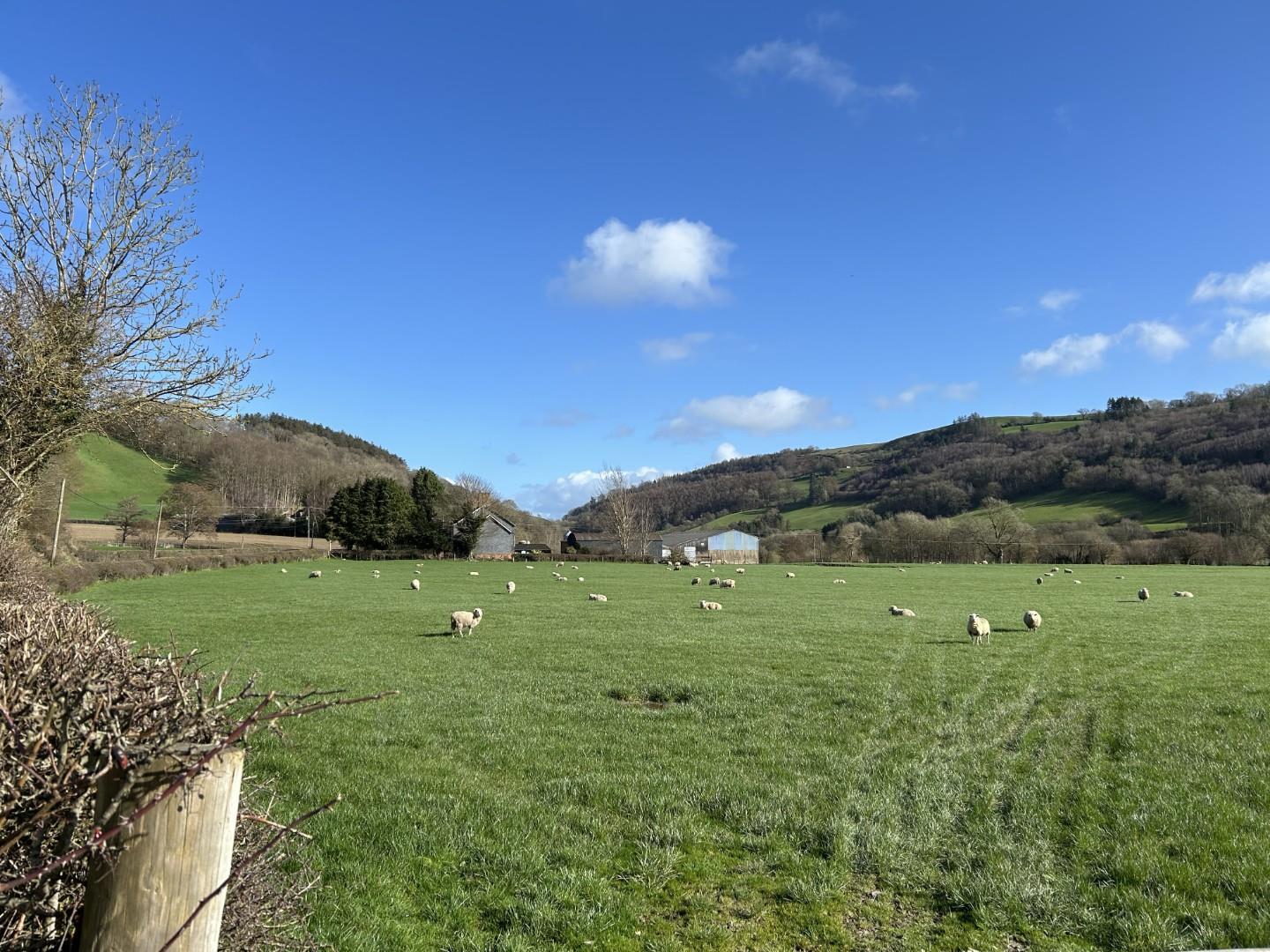 Property Image 45d3ba00-8faa-4f3e-8944-bfe923c0b085