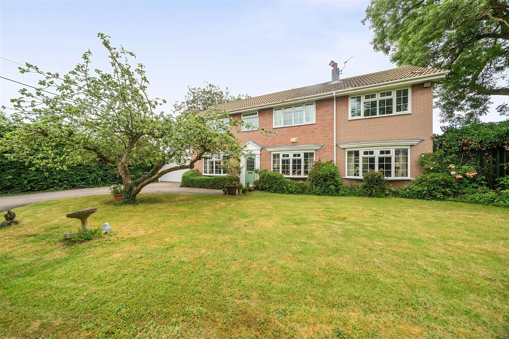 Property Image 45d989c7-2760-430e-b19f-4956d448e521