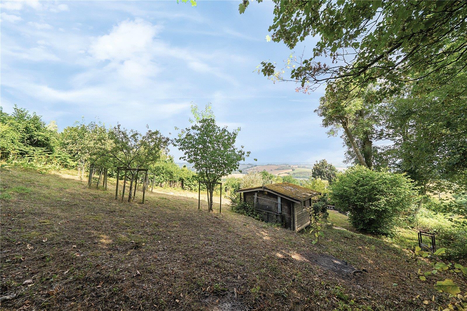 Property Image 45da797f-f617-44ea-a7ce-53ee76ff083b