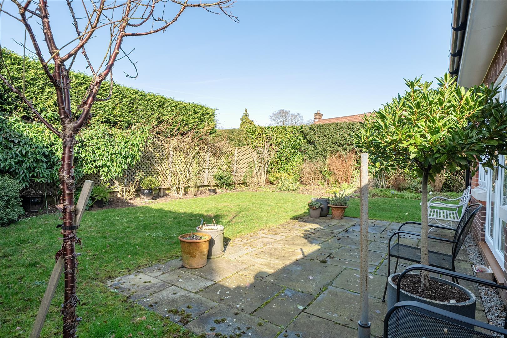 Property Image 45f1e542-b4c1-4925-86aa-8736900fa492