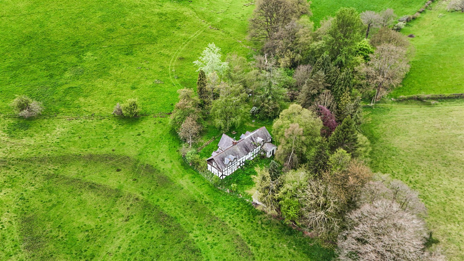 Property Image 460422f0-3fc9-4559-90d4-71f114cce211