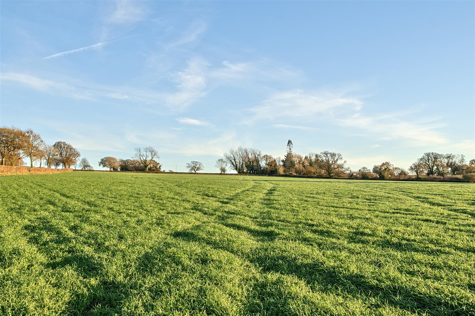 Property Image 460a580a-7d94-4702-b7f4-5ec9c1bb8fbb