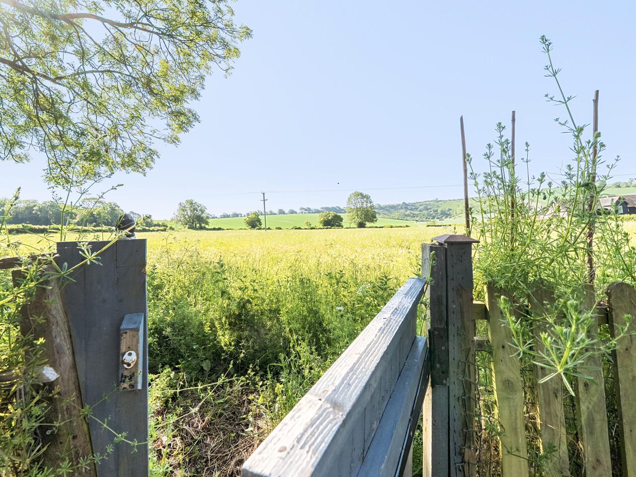 Property Image 461849fe-6887-4496-9497-9af3cd44db1c