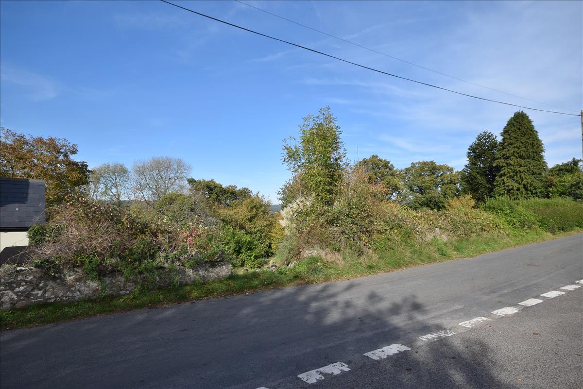 Property Image 463d7b24-aa0e-48b4-8d0a-6347afd77501