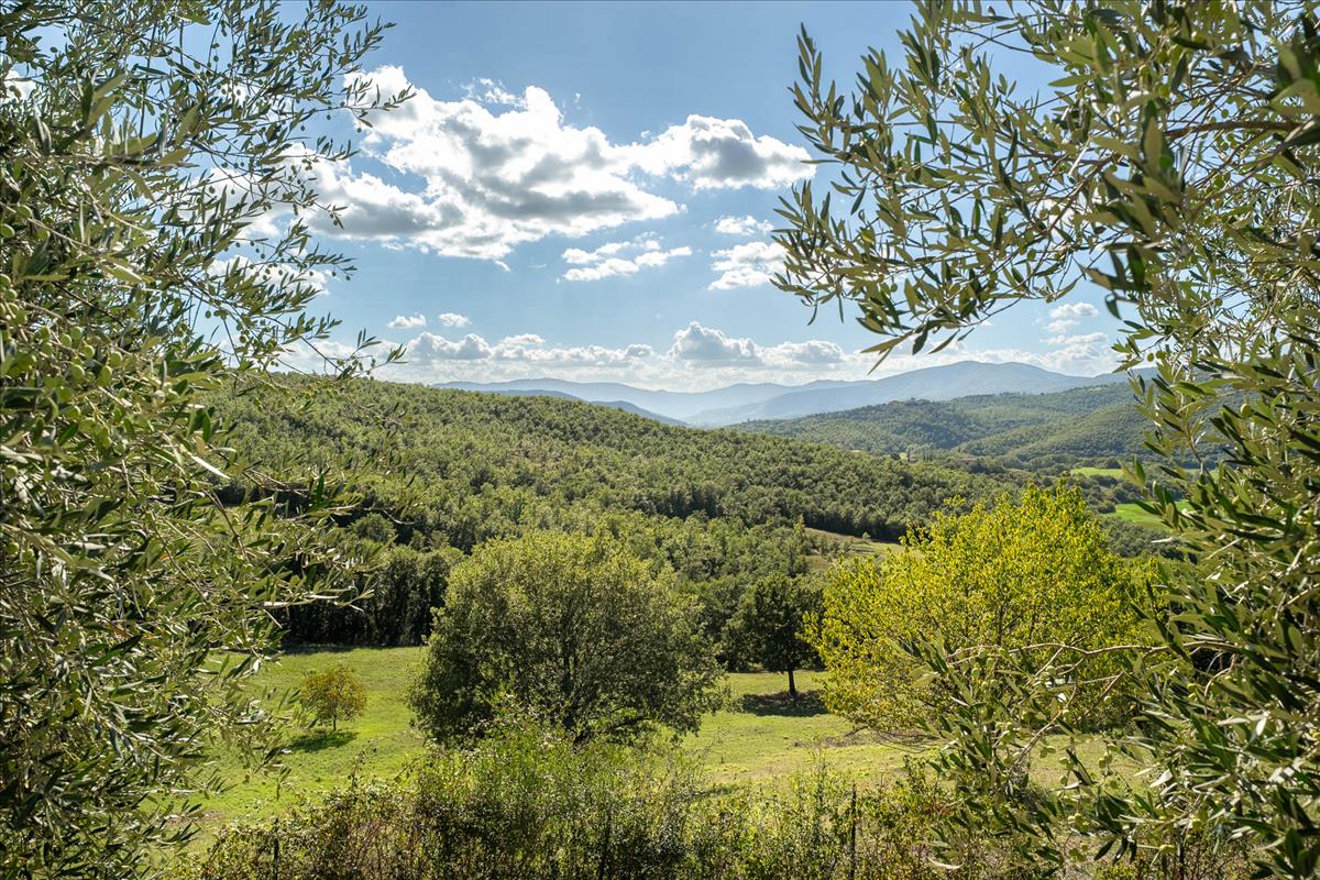 Property Image 46635ef4-0f5a-4369-ae27-caac5fb75efd