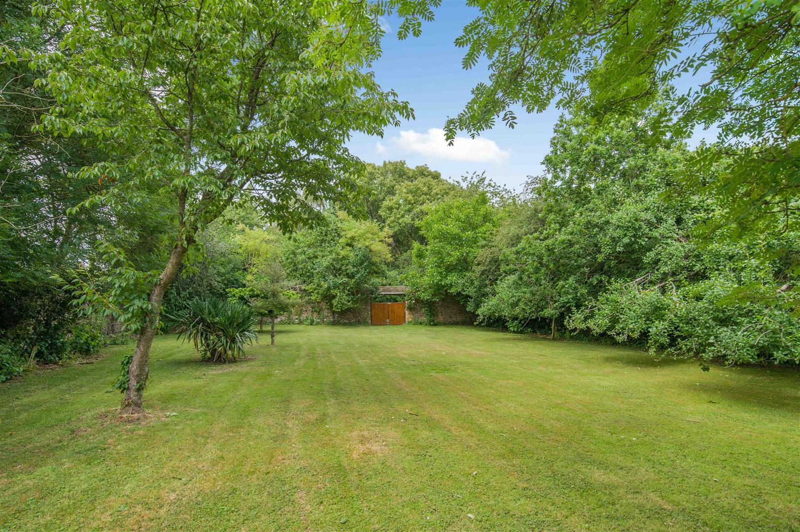 Property Image 4677ed71-a41b-4a85-b087-eacf7d0deb79