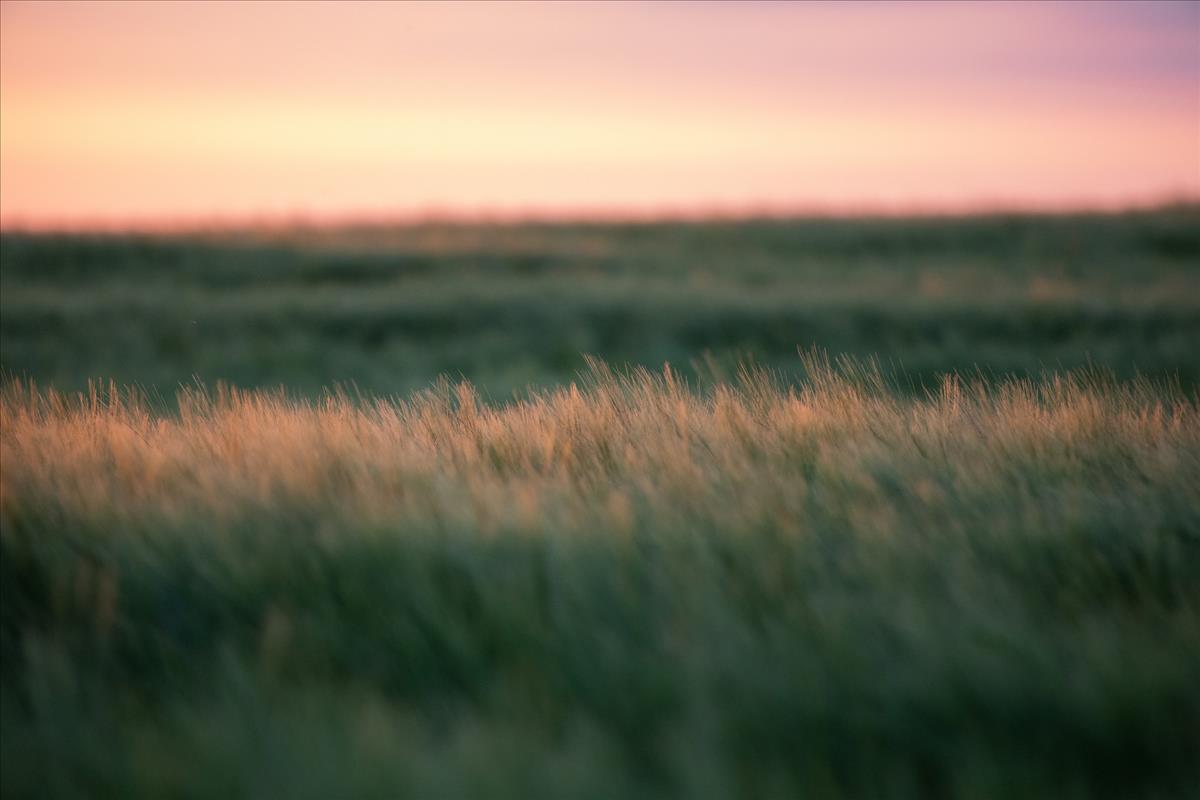 grass keep and share farm agreement experts