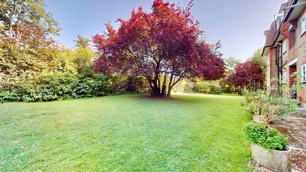 Property Image 46a3a231-7b8e-4c0c-a235-577eb1fa8f7e