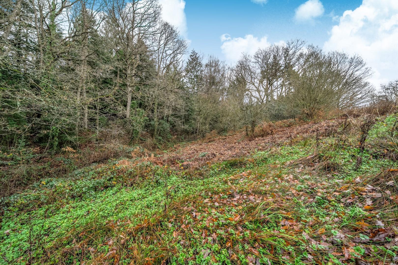 Property Image 46aa0f8a-2a94-4809-aec8-8a7c0807342c