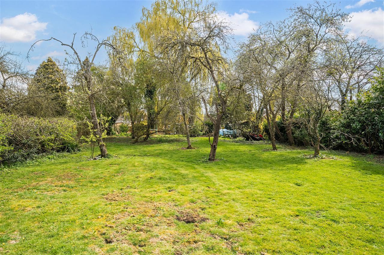 Property Image 46af47a2-5c63-41bb-bee5-ab15eb9d9f2d