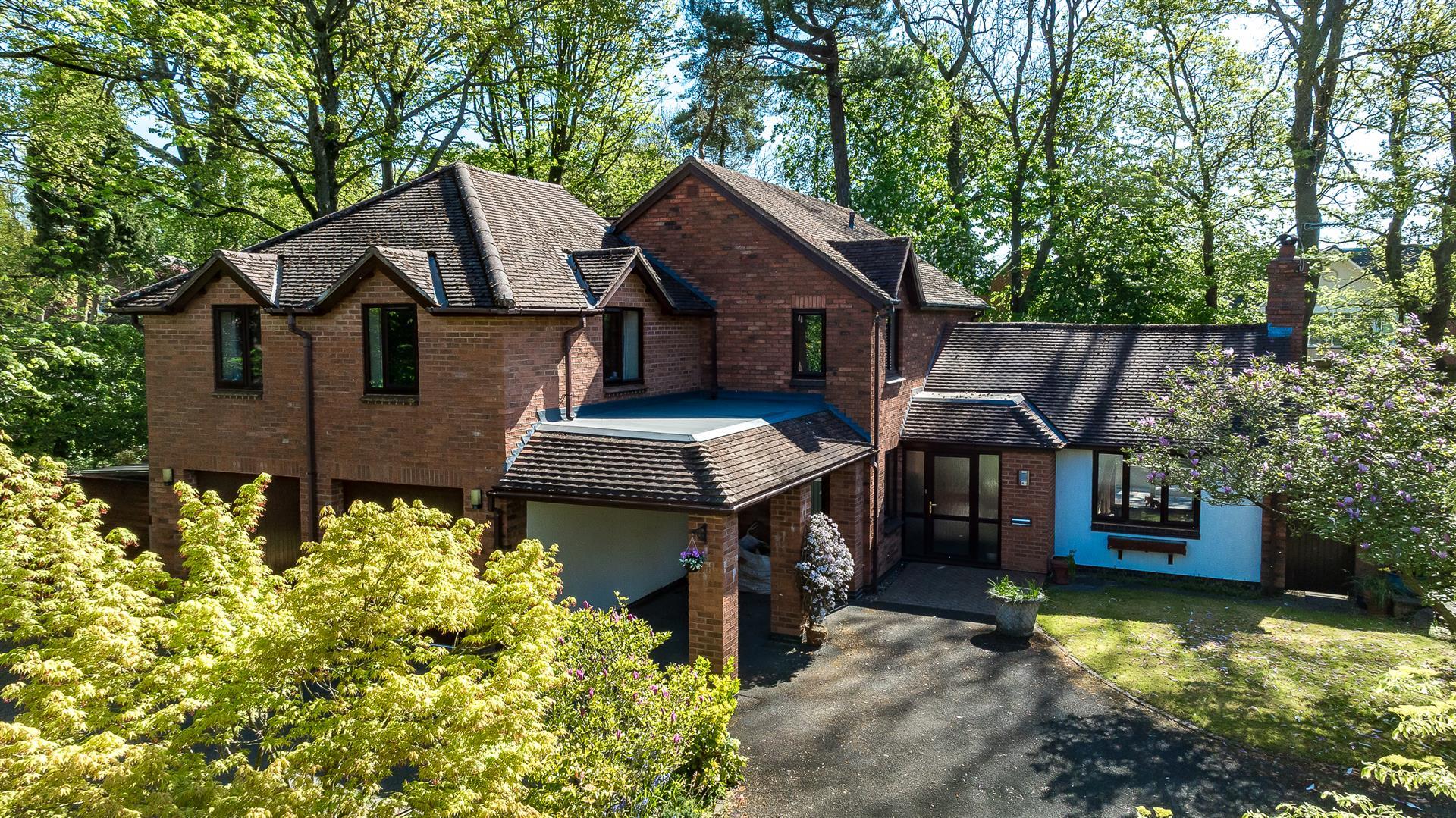 Property Image 46c36b8f-c7ed-4b68-9102-ddee080cfa00