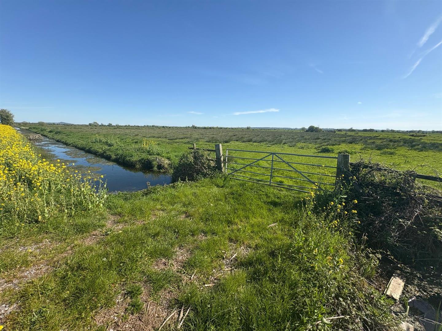Property Image 46dc9c97-5630-4c43-aca6-4e15ab9a0f36