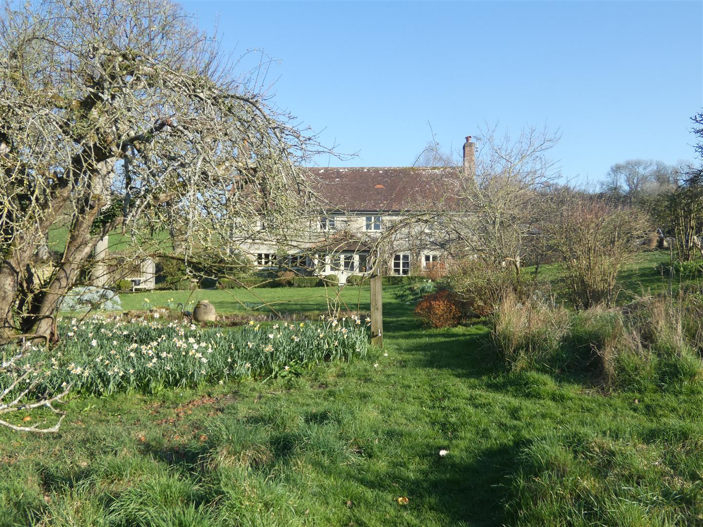Image 24