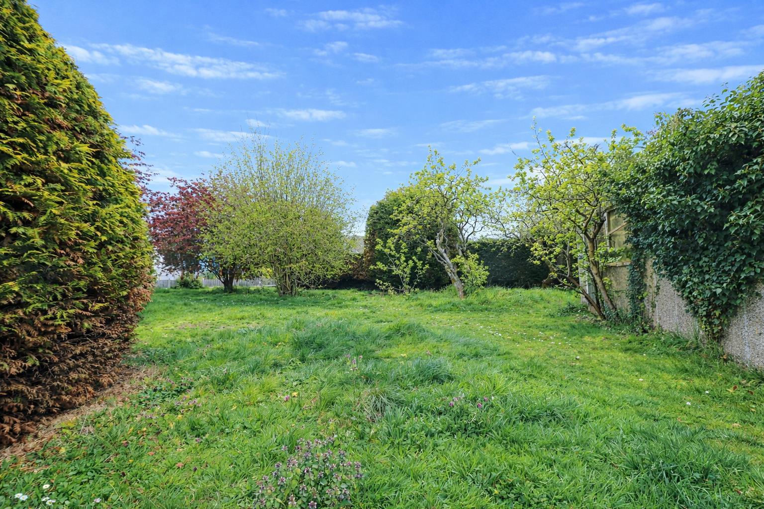 Property Image 47493d49-401b-417d-a4e6-b87231f2eb8e