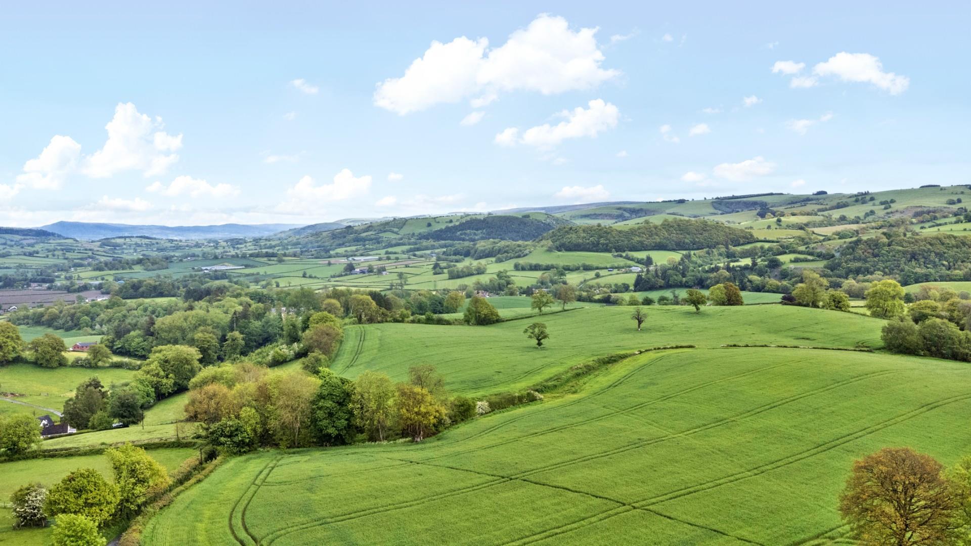 Property Image 474aa9c8-74ad-4ff1-b264-2e5255ada8a3