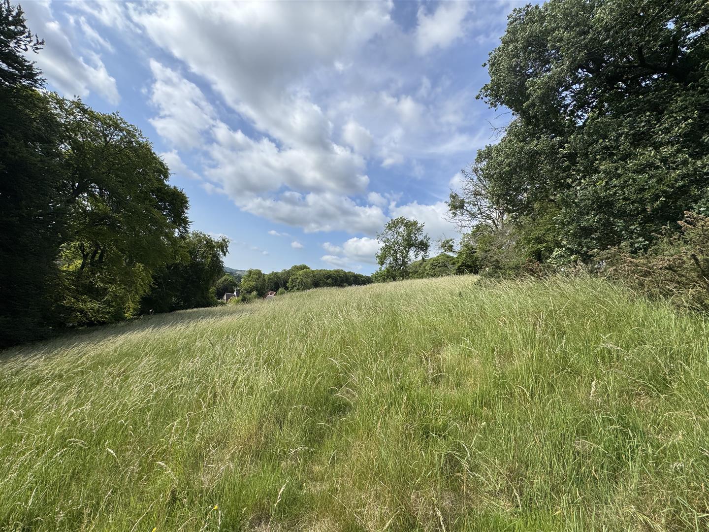 Property Image 4756c31e-b9c9-4e0d-bf6a-33d83f8080e0