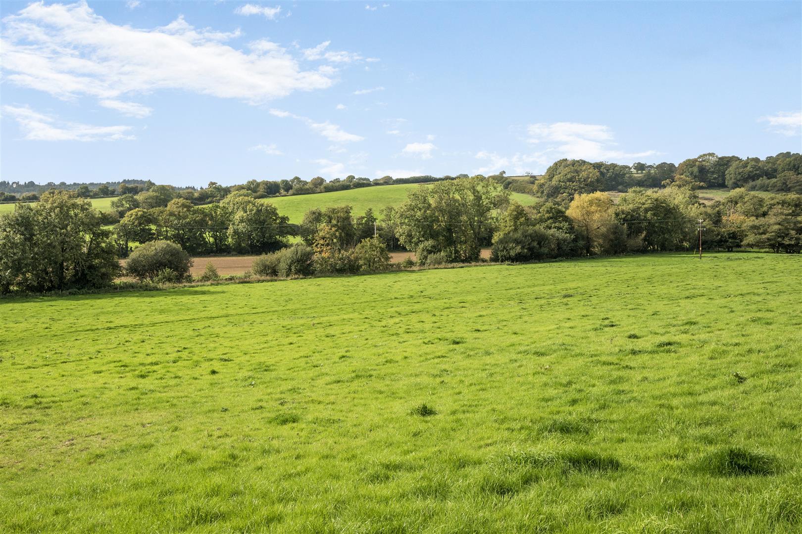 Image 17