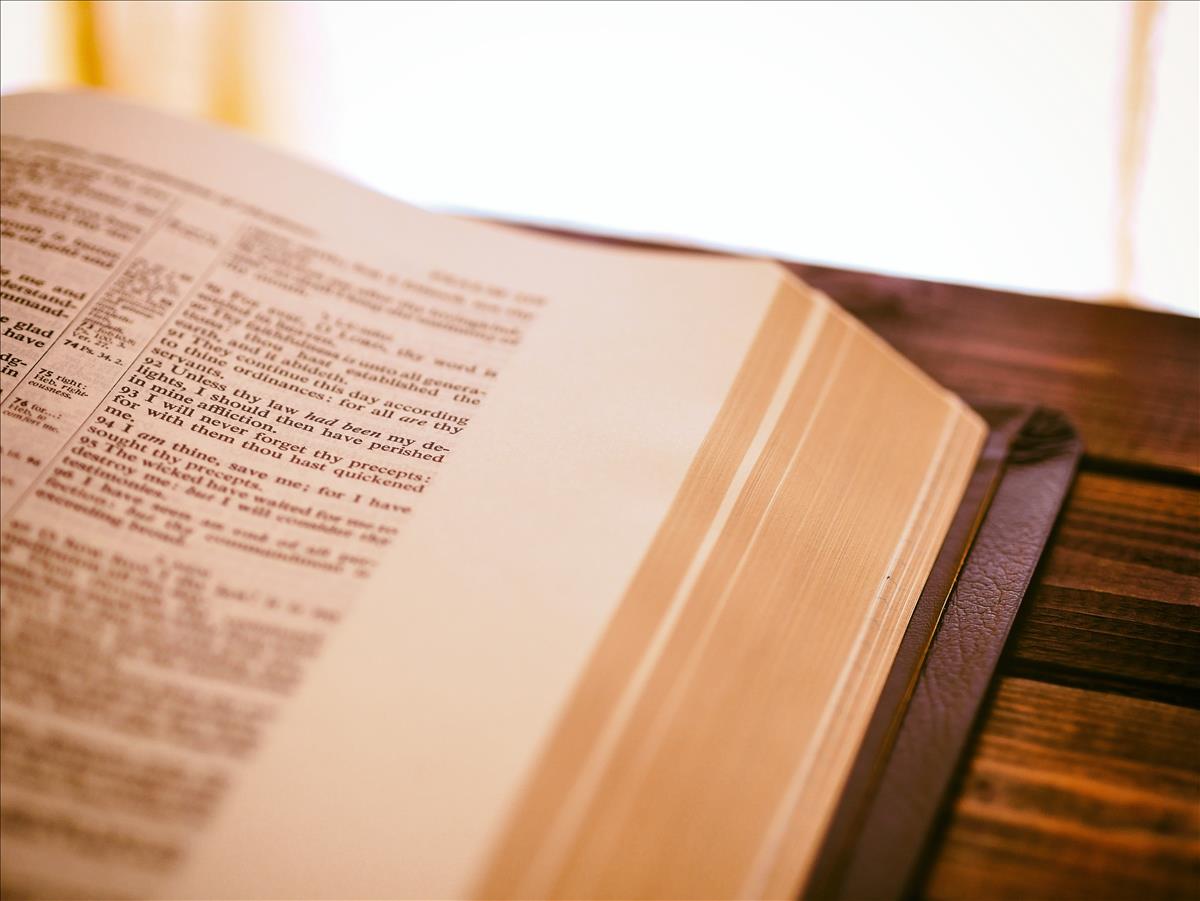 directors duties Act