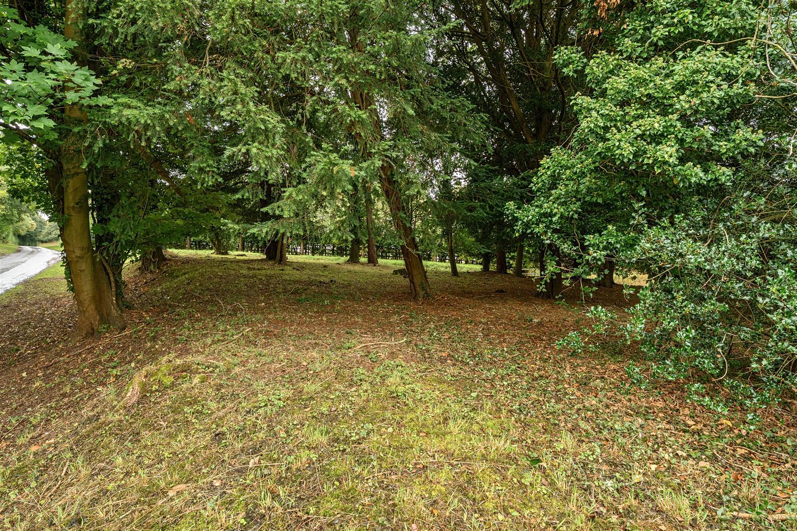 Property Image 4780c0d3-c4f9-427a-947b-dc2c658cf050