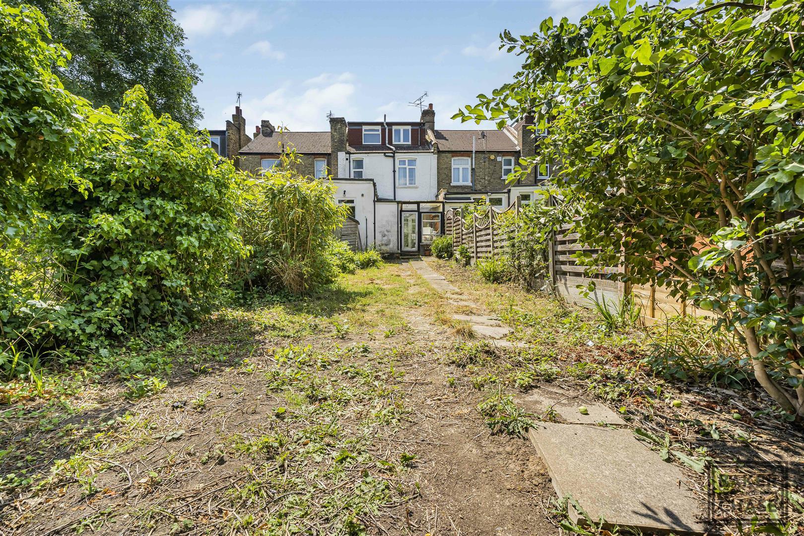 Image 29