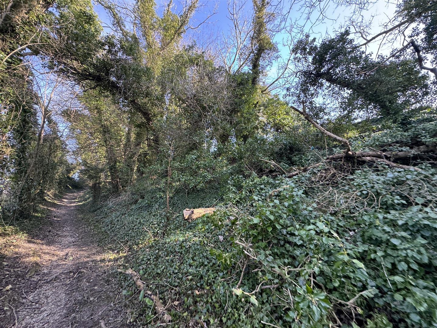 Property Image 47efa4bb-015c-4aa0-a9ec-252b1ea3f9bf