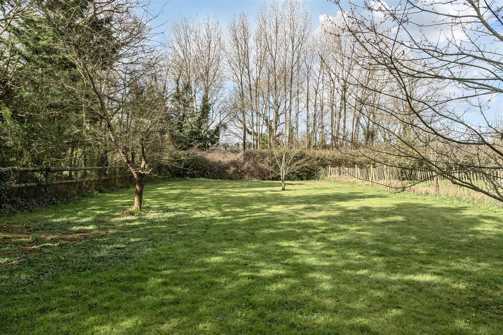 Property Image 481ff929-1fec-4818-9b7d-4de3db9918e1