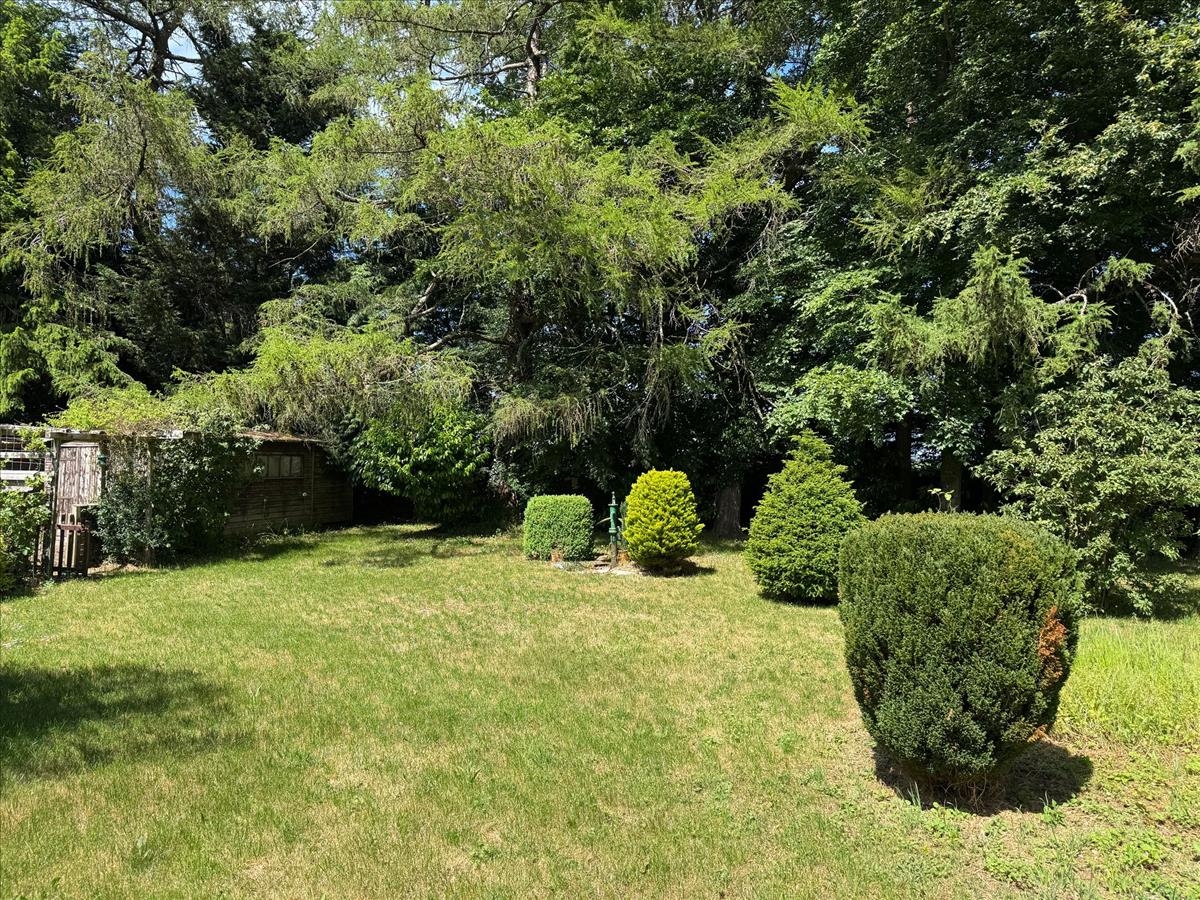 Property Image 4882e5dc-6592-42cf-8215-c5cdf6c832a4