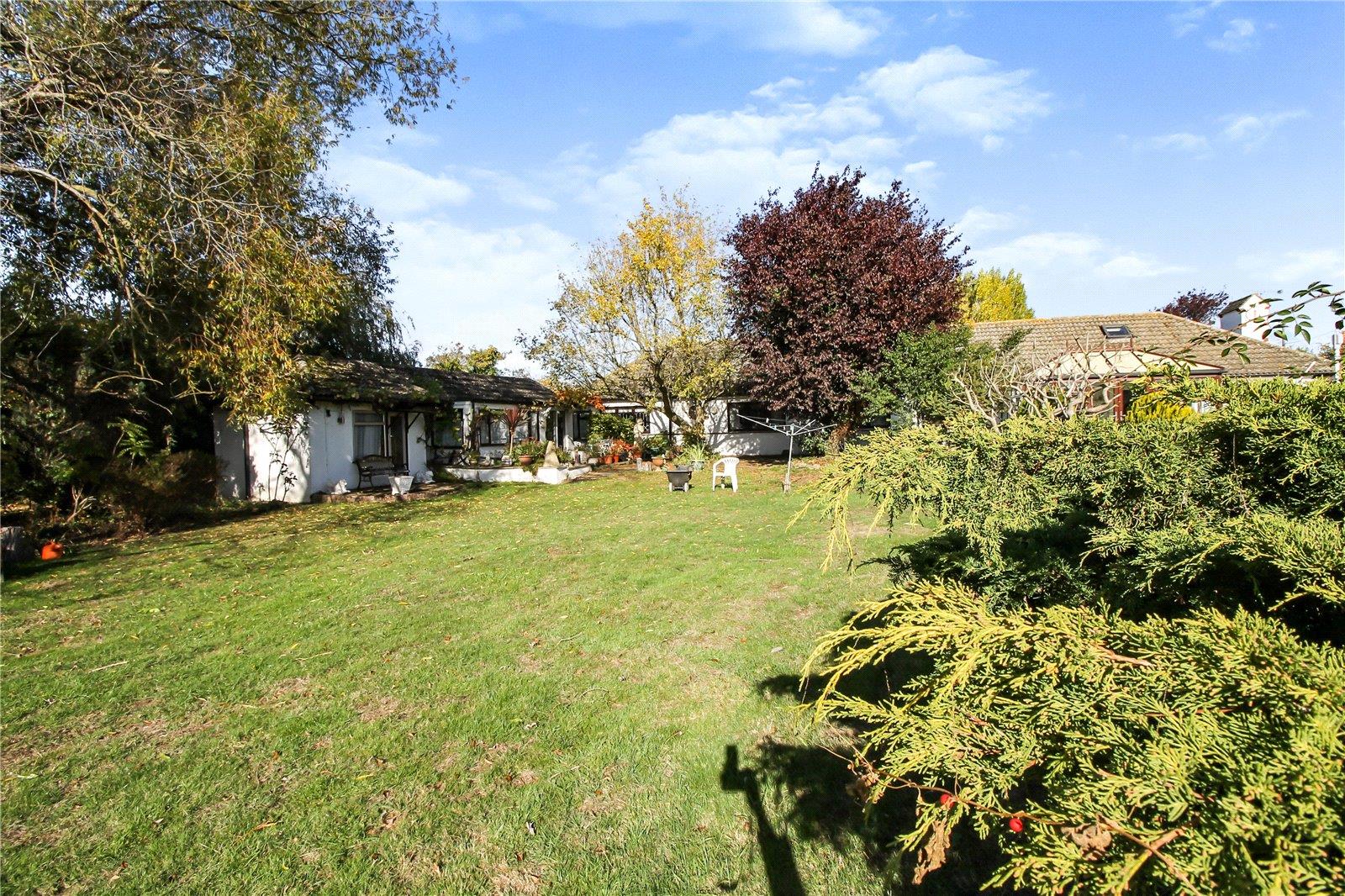 Property Image 4892a373-bed0-46e9-96d1-2df4a30d22dc