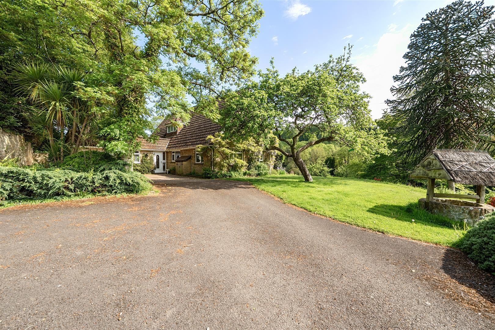 Property Image 489c4e8c-24ee-4d50-8d25-df3a530f9164