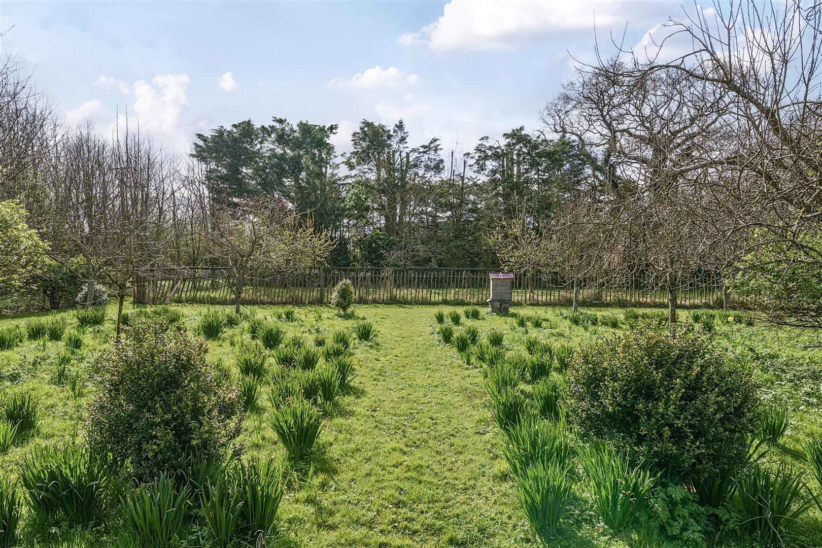 Property Image 48c820f8-18cd-4eb1-9494-6c7229e107f6