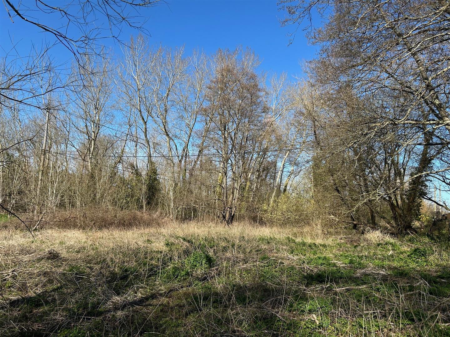 Property Image 48cb895e-8829-4cbd-b455-941f93d96924