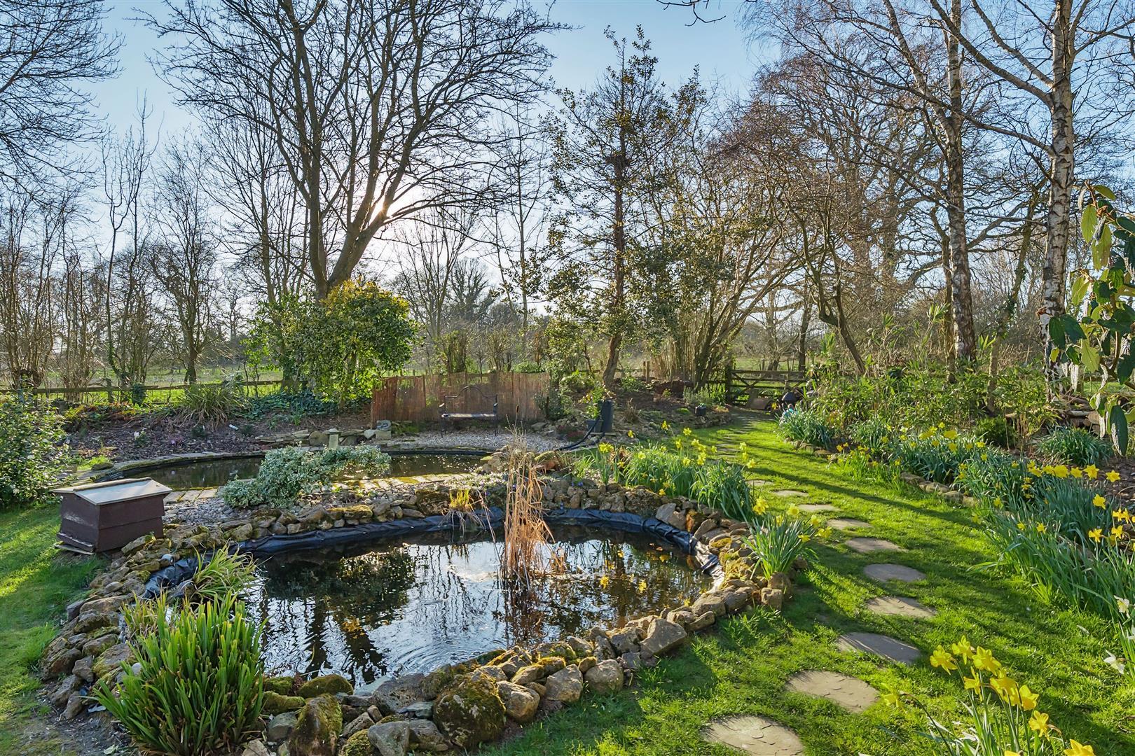 Property Image 48ff0e54-5d7f-4e1d-9444-145b9980c841