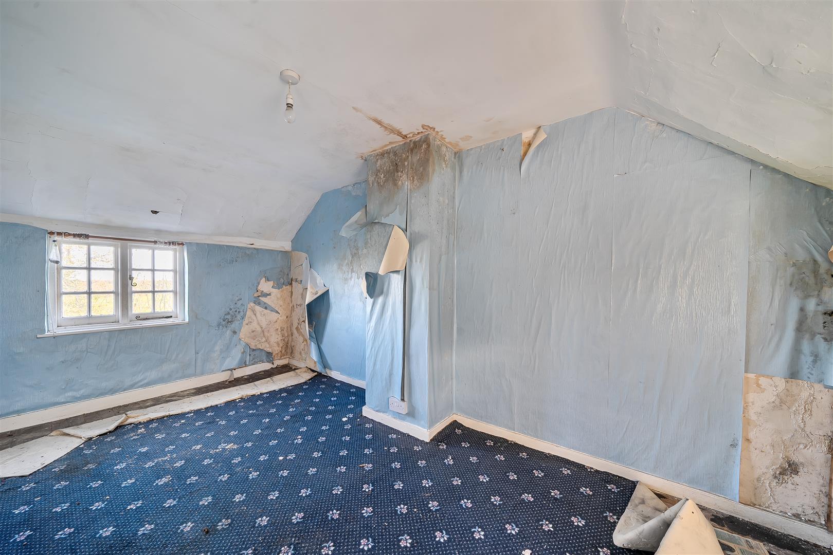 Property Image 49b223c2-d737-4266-95d2-6c4a89162f65