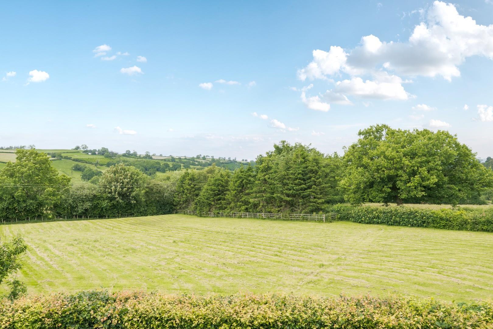 Property Image 49c8b4c8-0f3e-4641-aa49-206fa11a8e8a