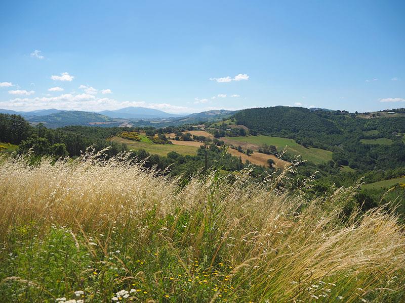 Property Image 49e4cd47-a805-487c-afa5-b97175c47efa