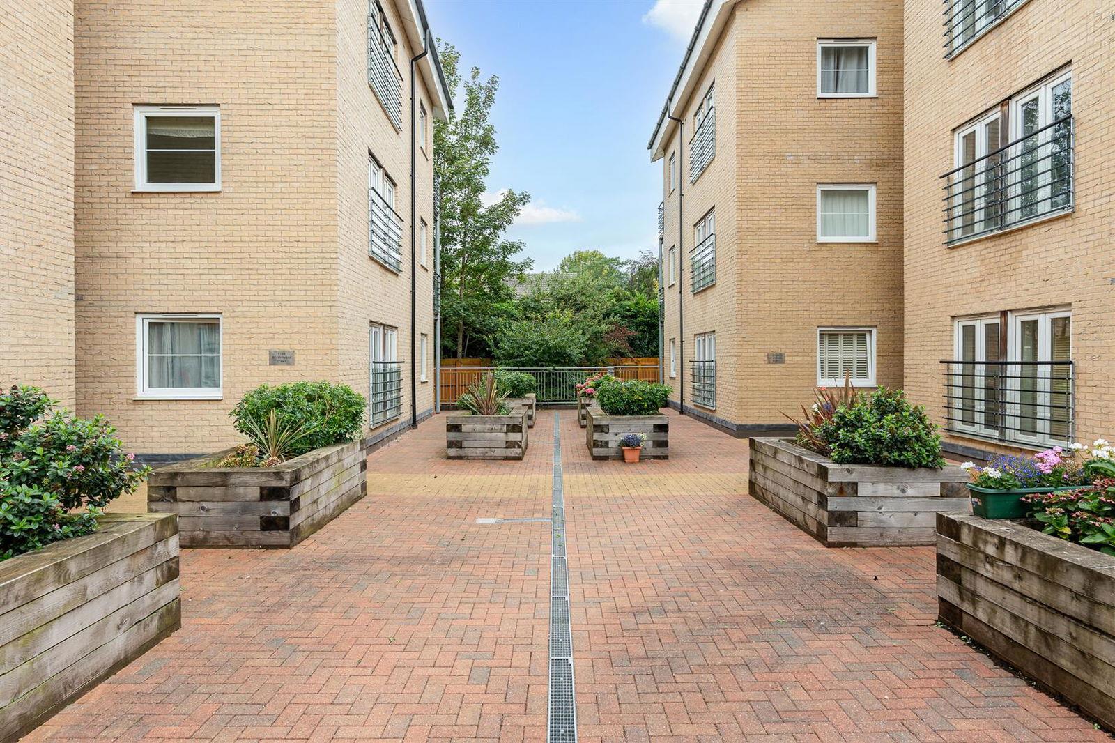 Image 15