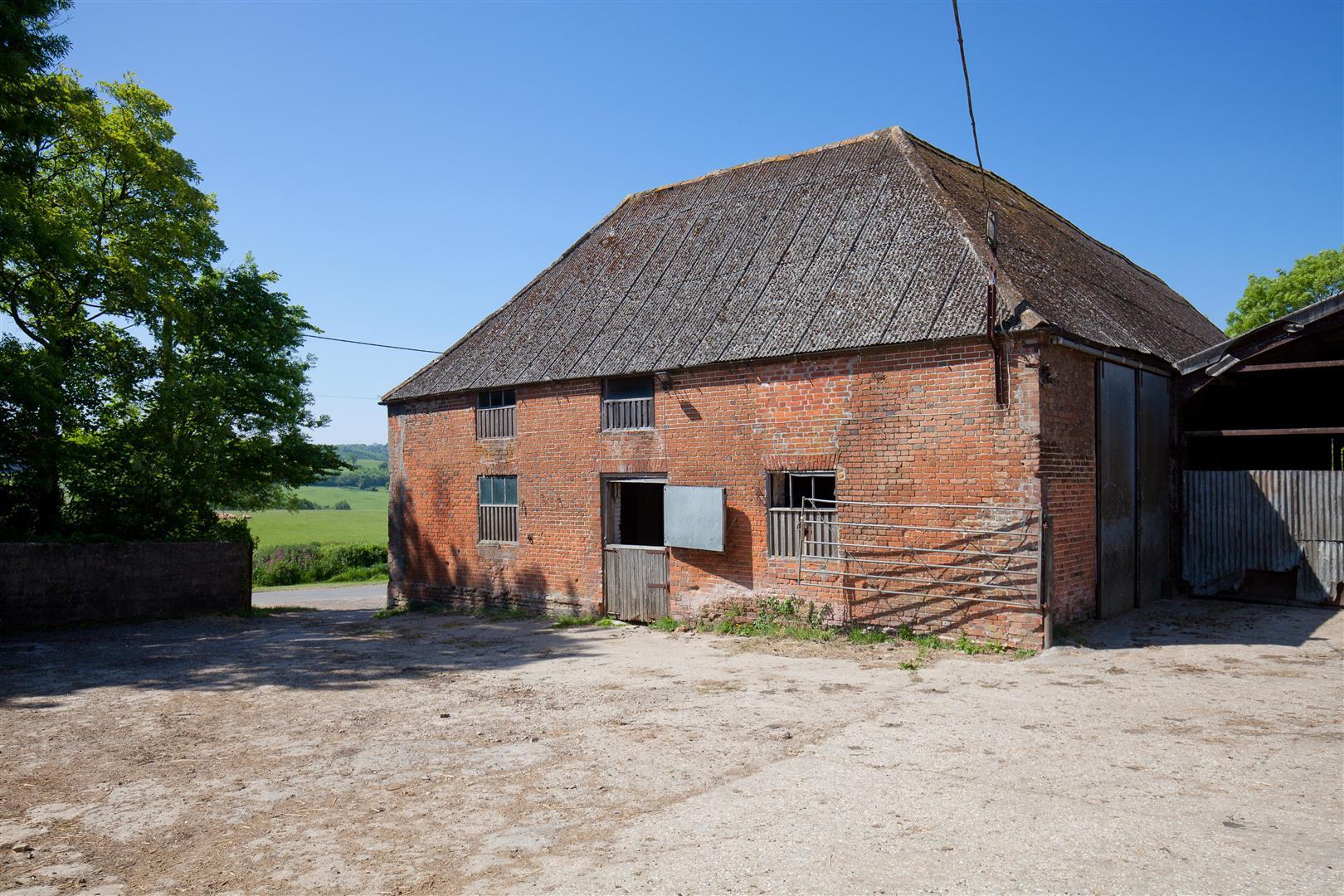 Image 12
