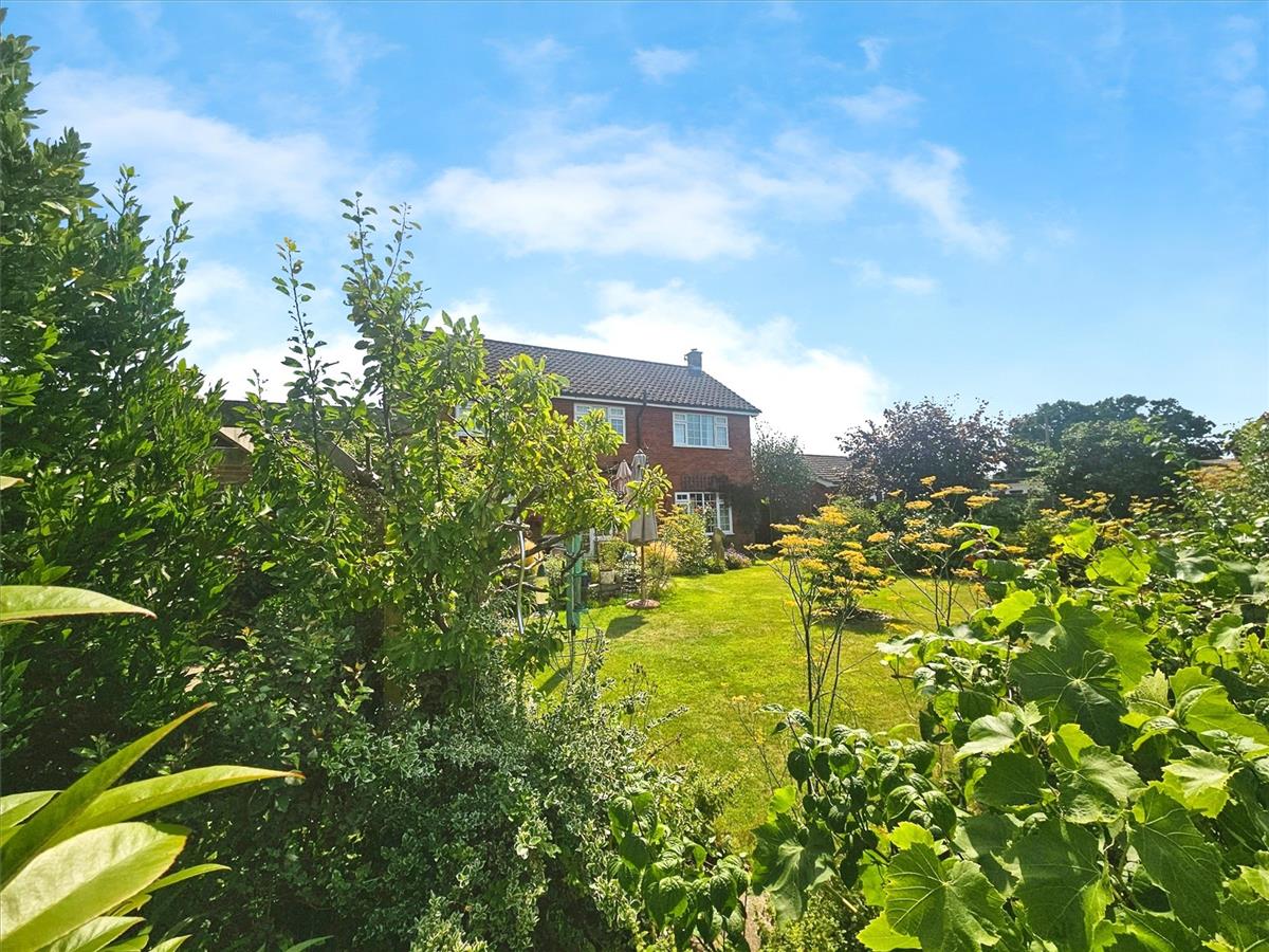 Property Image 4a3b0c59-428d-451c-905d-068998bcdad6