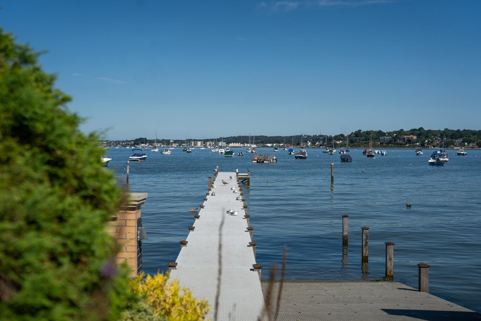 Property Image 4a66d5ed-7738-4735-a988-f53a26f2c77d