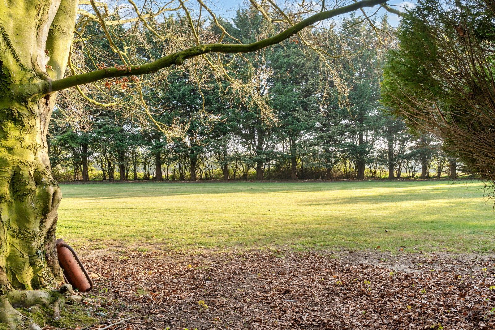 Property Image 4a76019c-d3f9-49a8-9c06-d9ca2104e50a