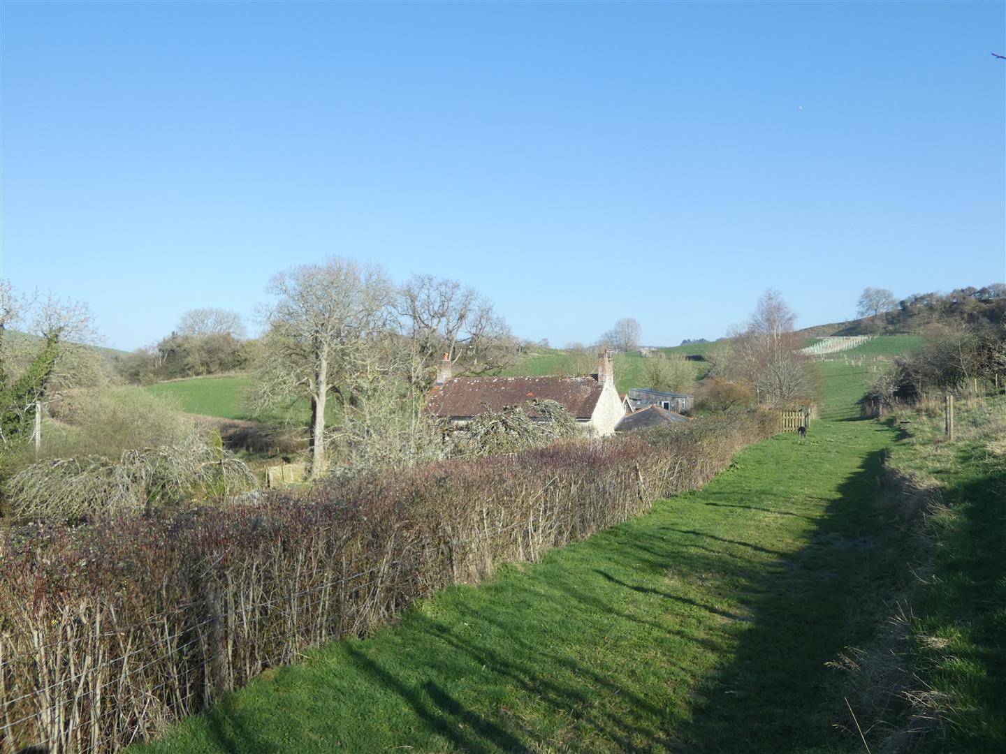 Image 28