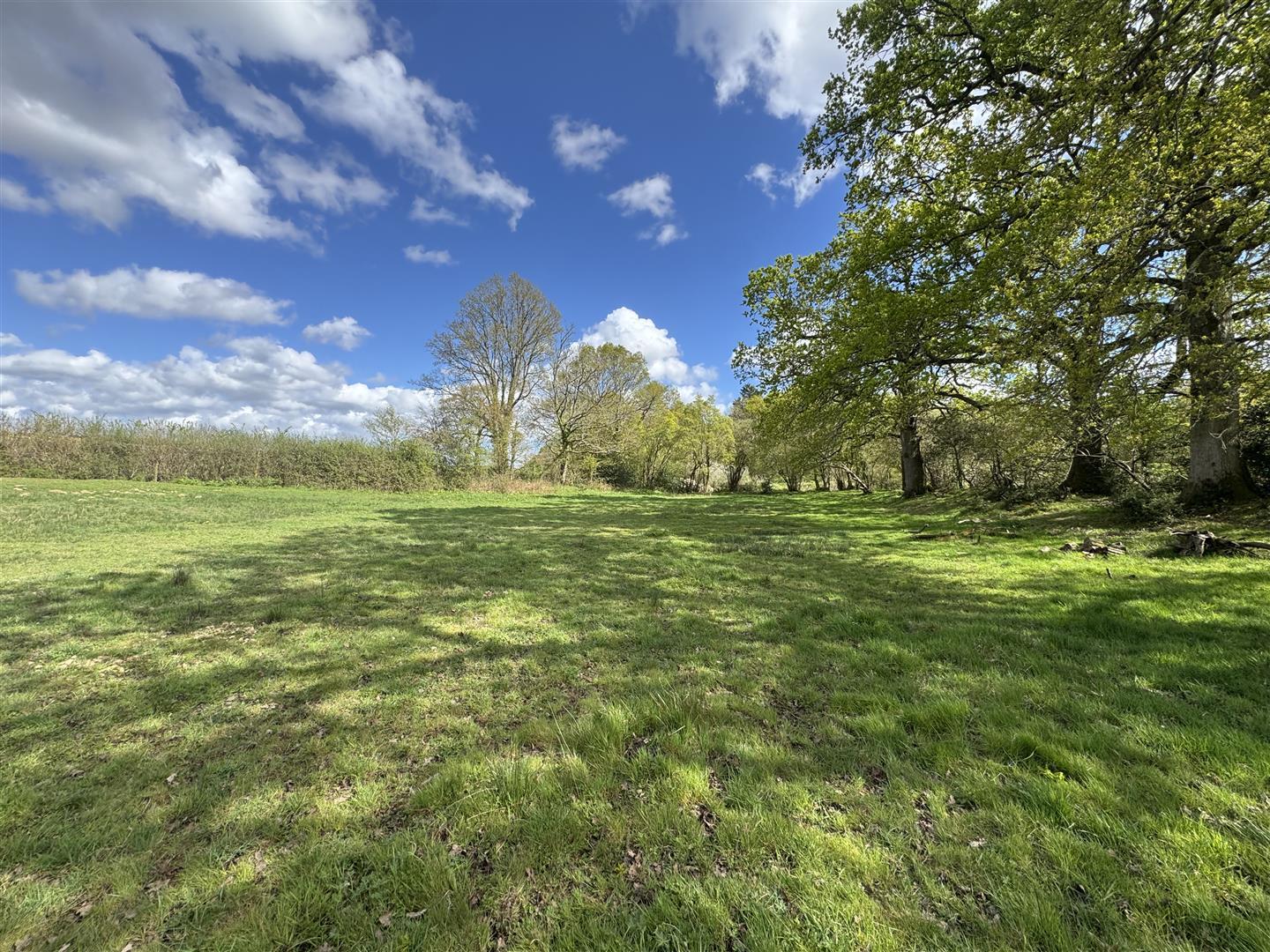 Property Image 4a9267a6-0376-435c-97e4-ff5db7087e4b