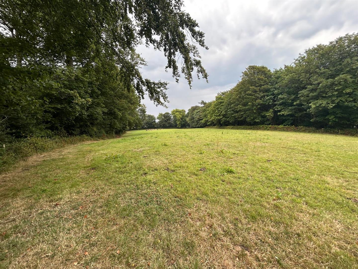 Property Image 4a94aefb-97cd-4bf1-a847-966a3cf97224