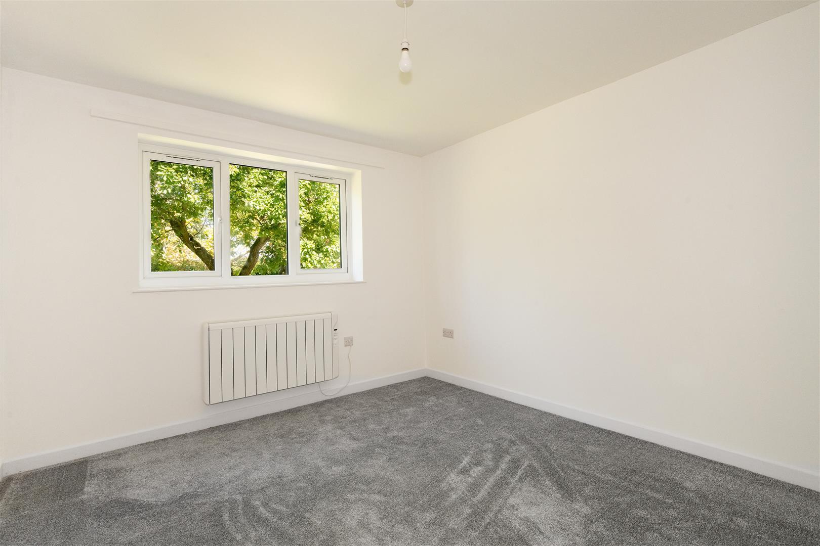 Property Image 4a9b7ce7-f21a-4d94-904f-534da0d08761