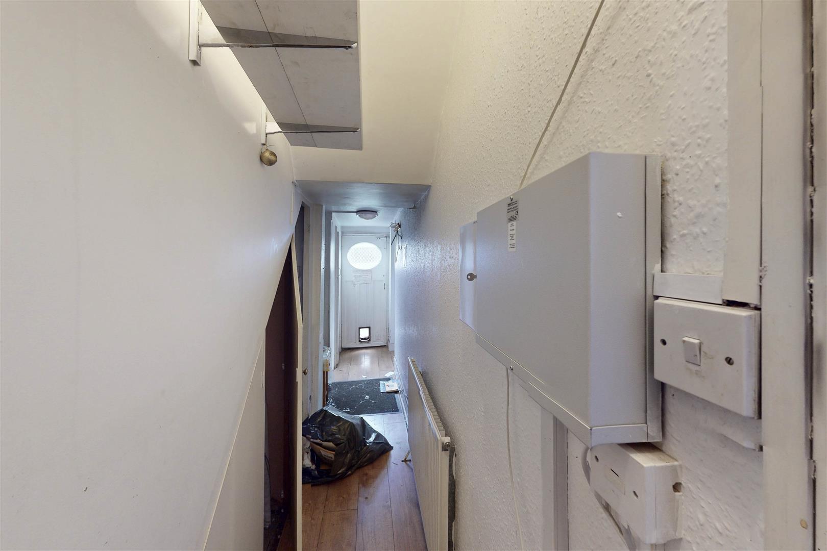 Image 19