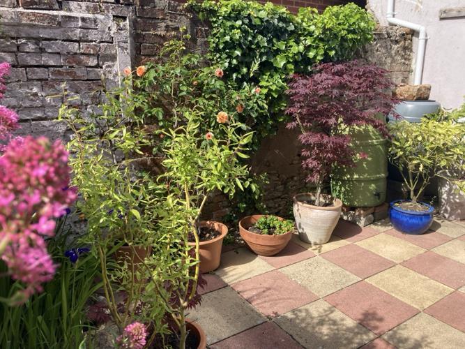 Property Image 4b82bd20-236a-4538-84a6-a8cdea7f81a0